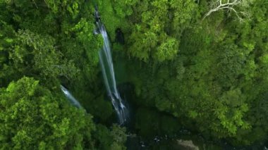 Bali 'deki Sekumpul Şelalesi. Etrafı yemyeşil tropikal doğa ile çevrili görkemli bir orman..