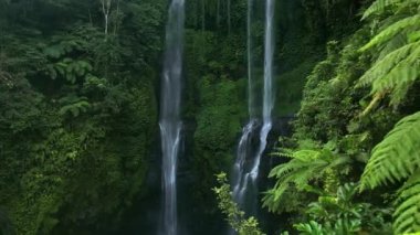 Bali 'deki Sekumpul Şelalesi. Etrafı yemyeşil tropikal doğa ile çevrili görkemli bir orman..