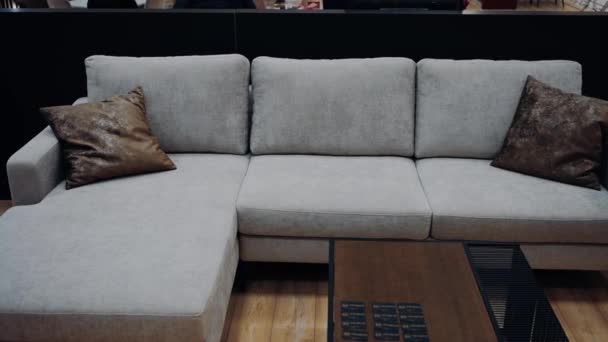 Gray Sofa Two Brown Leather Pillows Office Next Small Black — Vídeos de Stock