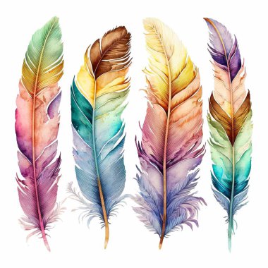 Renkli tüy seti, suluboya resim, beyaz üzerine izole edilmiş