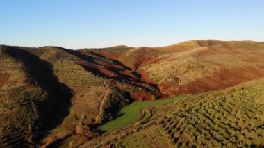 Toskana İtalya 'sı. Meşhur selvi ağaçları yol boyunca kürek çekiyor. Güzel manzara ve tarlaların manzarası. Cypress turistler için Toskana 'nın imzasını tanımlar. Şarap ve zeytin çiftlikleri