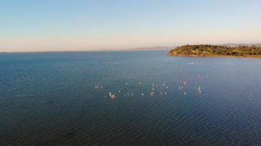 4K İHA görüntüsü. Narta lagünü ve flamingo 'nun parlak sabah manzarası. Narta Lagoon, Arnavutluk ve Avrupa 'nın güzel bahar denizleri