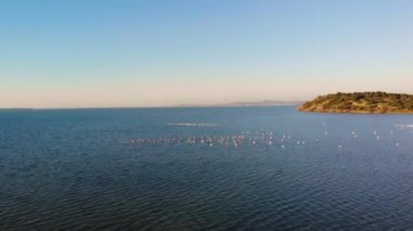 4K İHA görüntüsü. Narta lagünü ve flamingo 'nun parlak sabah manzarası. Narta Lagoon, Arnavutluk ve Avrupa 'nın güzel bahar denizleri