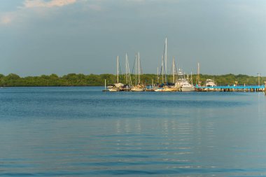 Jaltepeque Estuary, La Paz ve San Vicente departmanları arasında bulunan tuzlu bir haliçtir.
