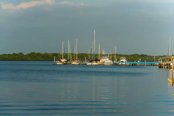 Jaltepeque Estuary, La Paz ve San Vicente departmanları arasında bulunan tuzlu bir haliçtir.