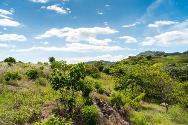Corinto, El Salvador 'un Morazn Norte ilçesine bağlı bir mahalle..
