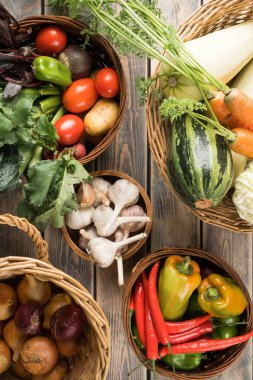 Tahta masada farklı taze sebzelerle dolu sepetler, üst manzara. İçi organik hasatla dolu kaseler. Yiyecek ya da sağlıklı beslenme konsepti. Nitratsız beslenme. Yemek malzemeleri..