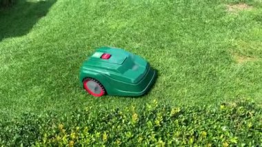 Yeşil alanda çalışan otomatik akıllı yeşil çim biçme makinesinin videosu. İnsansız, robotik, kablosuz, anlamsız motor motoru. Bahçe işleri için mobil taşınabilir cihaz. Boşluğu kopyala, yüksek açı görünümü