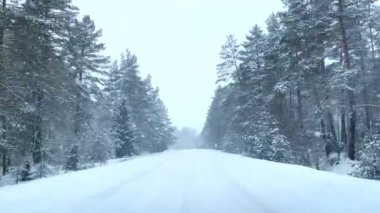 İzleme, video yolunda dolly, karlı orman ağaçlarıyla çevrili patika. Kar fırtınasında seyahat etmek tehlikeli bir yol. Sisli havada kazalar ve felaketler, sisli hava. İlerleme, donmuş yol yolculuğu