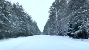 İzleme, video yolunda dolly, karlı orman ağaçlarıyla çevrili patika. Kar fırtınasında seyahat etmek tehlikeli bir yol. Sisli havada kazalar ve felaketler, sisli hava. İlerleme, donmuş yol yolculuğu