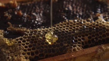 Arı kovanında hızla akan iştah açıcı bal ve masada bal petekleri. Arıcılık, apikülcülük, arı yetiştiriciliği, tatlı üretimi, bal üretimi, tarım, sağlık hizmetleri, propolis, sağlıklı gıda.