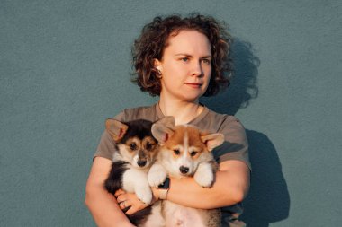 Siyah, kısa ve kıvırcık saçlı muhteşem kadın kollarında iki sevimli Pembroke Galli Corgi yavrusu taşıyor. Çok renkli köpek dişleri, harika bir tutucunun sıcak ellerinde sessizce oturuyor..