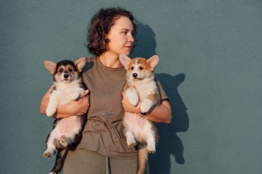 Kısa ve kıvırcık saçlı çekici bayan iki sevimli Pembroke Galli Corgi yavrusunu kollarına aldı. Farklı renkte kürklü yavru köpekler dişi tutucunun rahat ellerinde oturuyorlar..