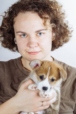 Kıvırcık, koyu renk saçlı, kot pantolon giyen, kahverengi tişörtlü, elinde gri arka planda kahverengi, beyaz köpek yavrusu pembroke corgi tutan genç bir kadının portresi. Dikey.
