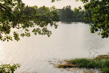 Şehir dışı sahnelerde, sakin gölde ve yeşil yapraklarda, güneş ışığıyla aydınlatılmış büyülü, el değmemiş bir görüntü yakalıyor. Yaz günü rahatlamak ve büyüleyici flora manzarası için ideal bir yer..