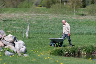 Orta yaşlı erkek çiftçi tarlada el arabası sürüyor.