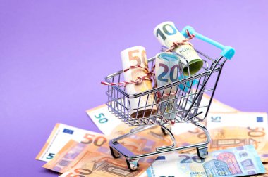 Avro banknotlarıyla dolu alışveriş arabası..