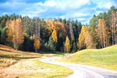 Letonya 'da sarmal kırsal bir yol sonbahar ağaçlarının arasında kıvrılır