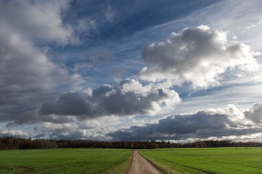 Koyu yağmur bulutlarıyla dolu dramatik gökyüzü sonbahar manzarasında yeşil tarımsal alanda yol boyunca ilerliyor.