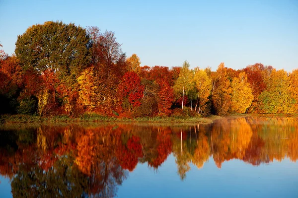 Яскравий Осінній Колір Дерев Відбивають Маленьке Озеро Латвії Ліцензійні Стокові Фото