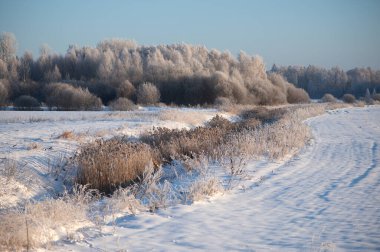Sazlıklarla, karla kaplı ormanlarla ve mavi gökyüzüyle kış manzarası
