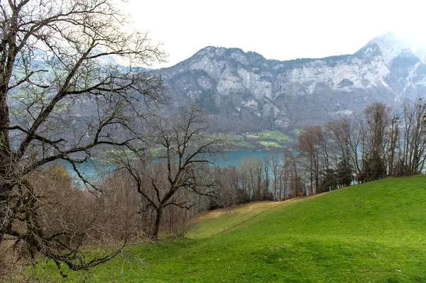 Een Uitzicht Lake Walensee Zwitserland — Stockfoto