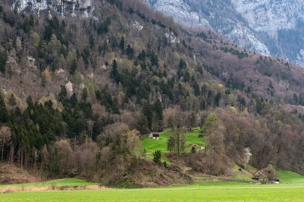 Pohled Břehy Jezera Walensee Švýcarsku — Stock fotografie