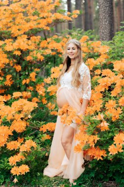 Doğanın çiçek açmasıyla hamile karnını kapat. Hamile kadın rhododendron parkında dinleniyor..