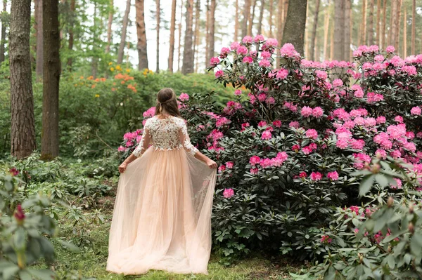 Vue Arrière Sur Une Femme Romantique Portant Une Robe Luxe — Photo