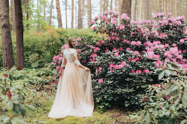 Achteraanzicht Romantische Vrouw Dragen Luxe Jurk Een Bloeiende Rhododendron Park — Stockfoto