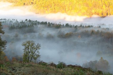 Fabulously beautiful view of old valley of the Gauja river, autumn morning fog in Sigulda, Latvia clipart