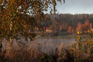 Güneşin doğuşunda sisli nehirde sonbahar manzarası
