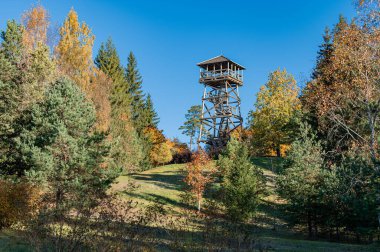 Tepeden Letonya 'nın güzel sonbahar manzarası, güneşli bir gün.