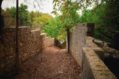 Taş duvarlar arasında dolanan, yemyeşil ağaçlar ve yapraklarla çevrili dar bir toprak yol. Sahne sakin ve davetkar, sonbahar renklerinin bir ipucuyla.