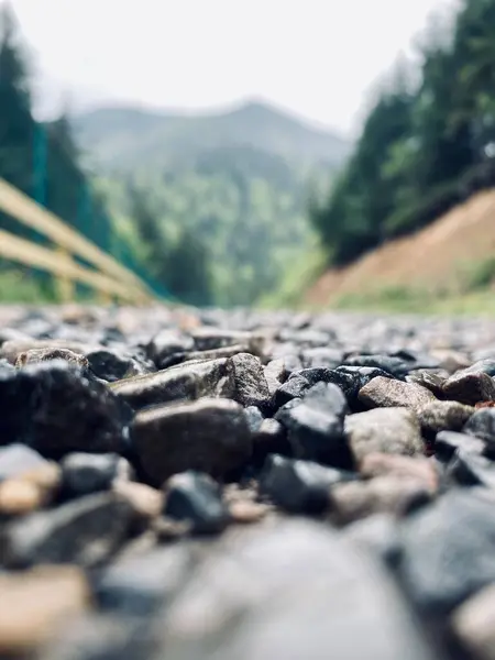 Dağlarda güzel bir manzara. Ukrayna