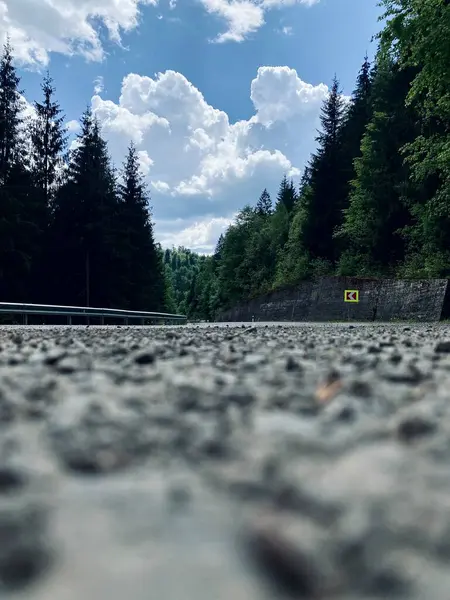 Dağlarda güzel bir manzara. Ukrayna