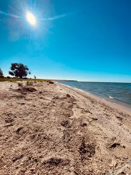 Ukrayna 'da deniz kıyısı