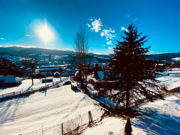 Karla kaplı ağaçları olan güzel bir manzara.