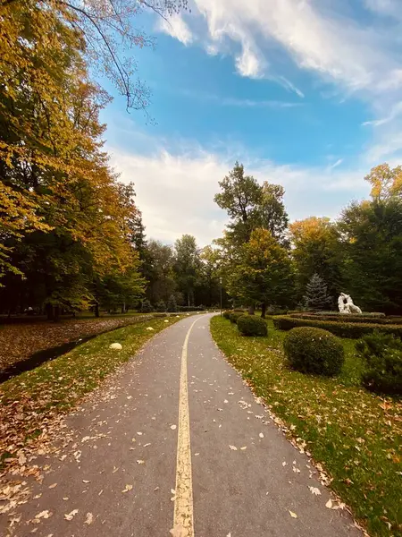 Ağaçlar ve yapraklarla dolu sonbahar parkı