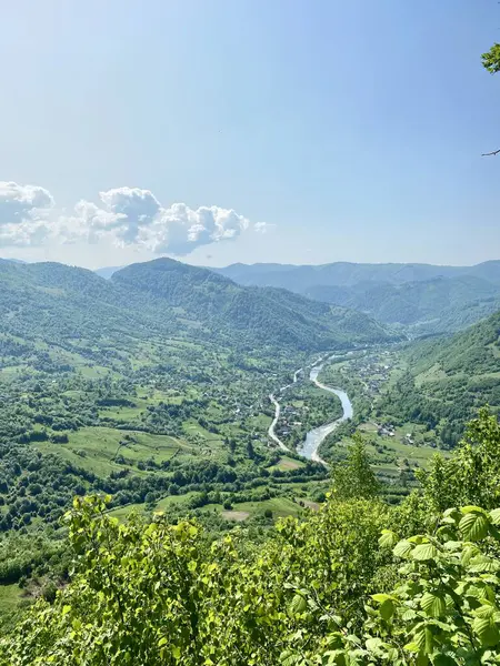Ukrayna dağlarının manzarası