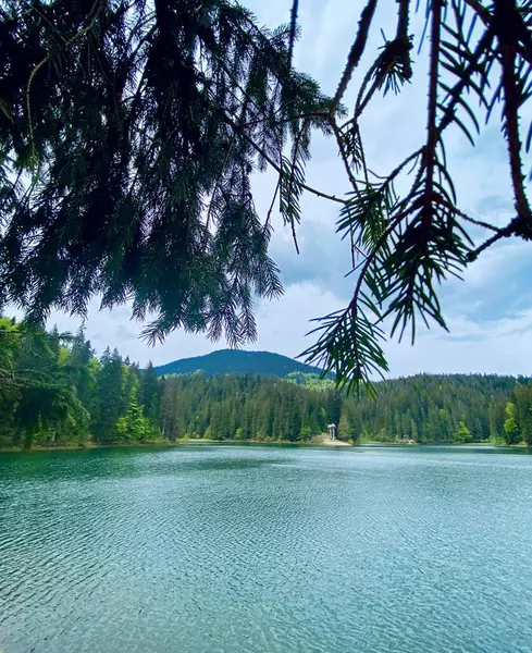 Arkaplanda ağaçlar ve mavi gökyüzü olan Synevyr Gölü.