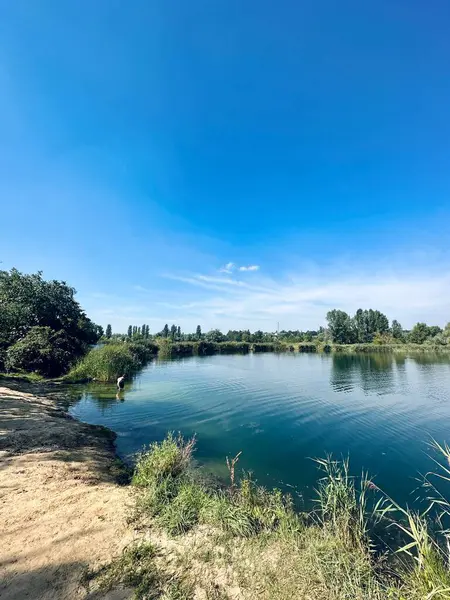Nehir ve ağaçlarla dolu güzel bir manzara