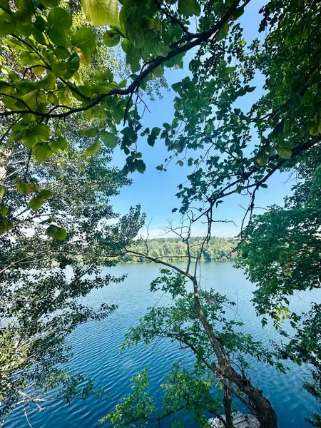 ağaçlar ve mavi gökyüzü göl