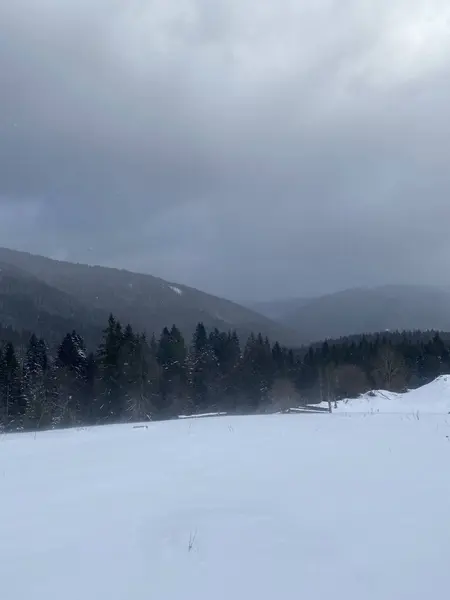 Karlı güzel kış manzarası