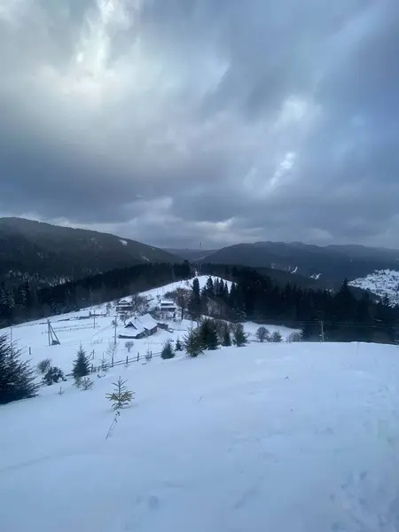 Karla kaplı ormanlı güzel bir manzara.