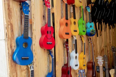 Bir dükkânda bir duvar dolusu renkli gitar, çeşitlilik konsepti.
