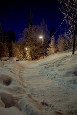 Kış gecesi dikkatli bir şekilde eve giderken yolda her yer karla kaplıydı.