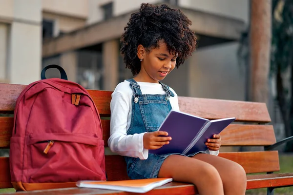 Back to school. A cute African American girl with curly afro hair and a backpack sitting on a bench near the school reading a textbook. Primary school student after classes learning homework.