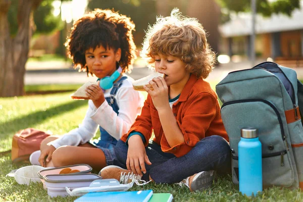 迷人的学童放学后坐在公园的草地上休息 一个非裔美国女孩和一个白人男孩从背包里拿出装有三明治的午餐盒 一边吃着 — 图库照片