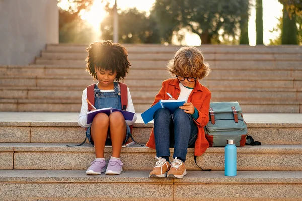 Charming Smart Schoolchildren Doing Homework Together While Sitting Stairs School — Stock Photo, Image
